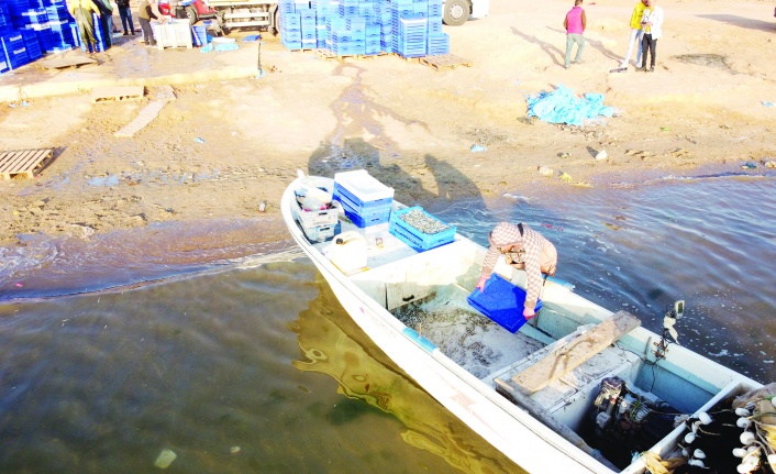 Balıkçılar, Hirfanlı Barajı'nda avladıkları gümüş balığı için işleme tesisi istiyor
