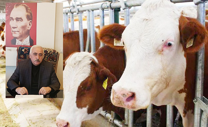Kırşehir’de tarım ve hayvancılık can çekiştiriyor