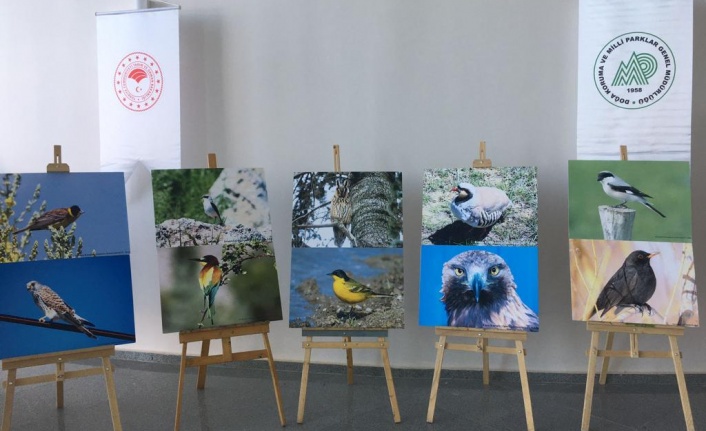 Kırşehir'de biyolojik çeşitlilik ve tahnit hayvanlar sergisi düzenlendi